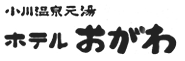 小川温泉元湯　ホテルおがわ