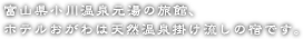 富山県小川温泉元湯の旅館、ホテルおがわは天然温泉掛け流しの宿です。
