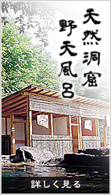 天然洞窟 野天風呂