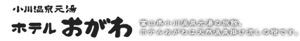 小川温泉元湯 ホテルおがわ