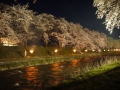 舟川夜桜２２◎.JPG