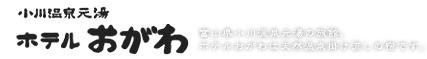 小川温泉元湯 ホテルおがわ